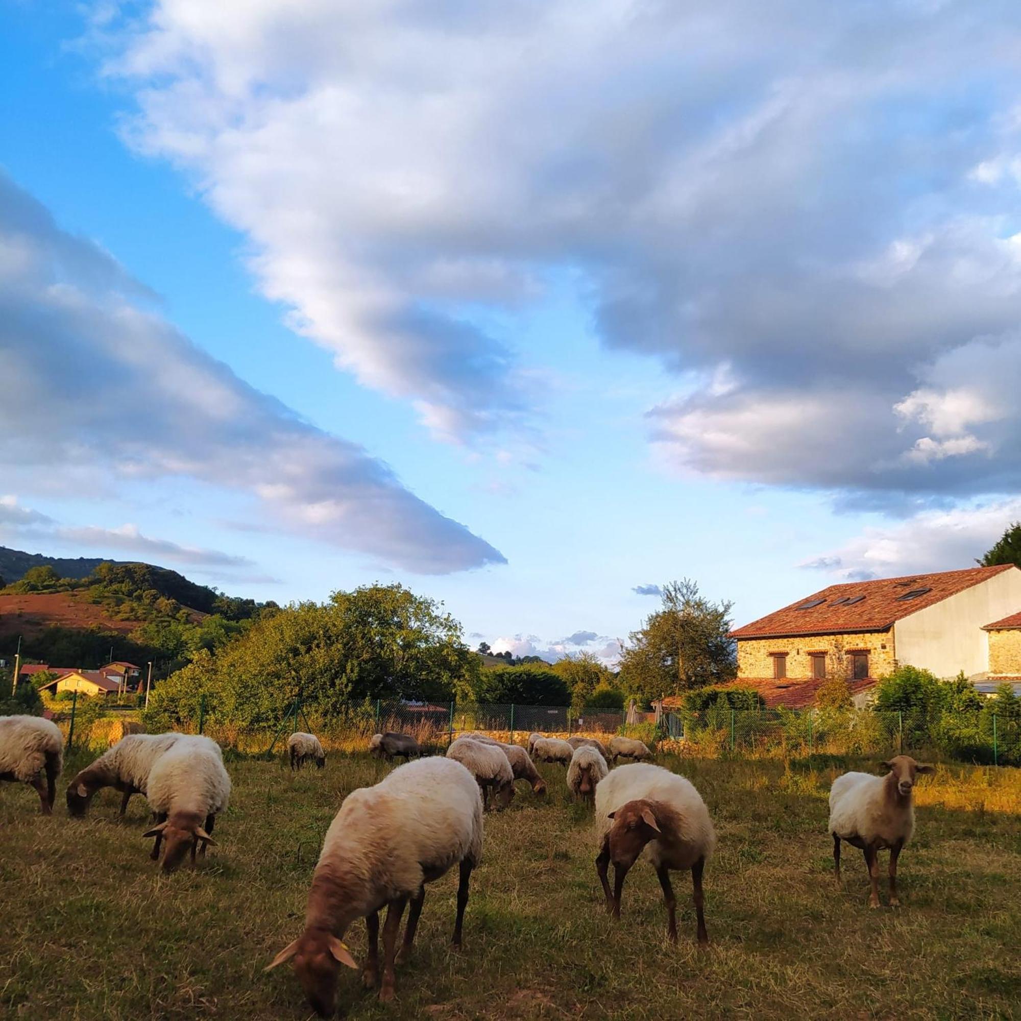 La Corralada Casa rural Pámanes